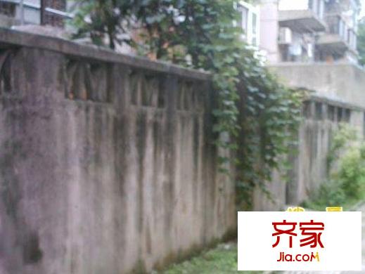 彭義里