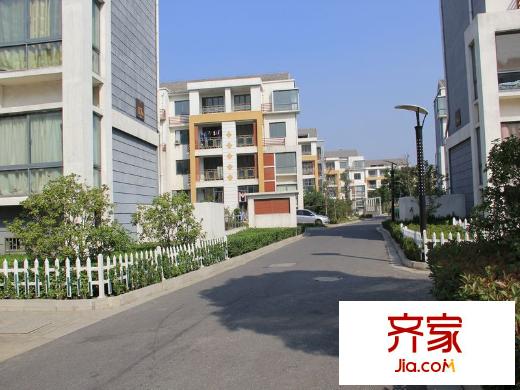 陽澄人家外景圖2013.10.26小區(qū)內(nèi)道路