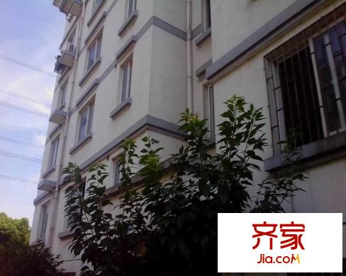 愛麗莎陽光名苑外景圖 