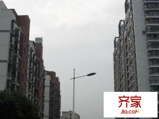 東園映象外景圖 