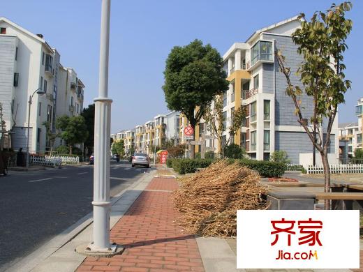 陽澄人家外景圖2013.10.26小區(qū)馬路