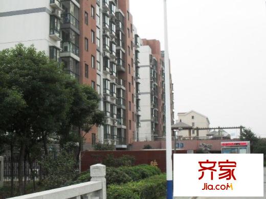 東園映象