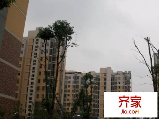 玉成家園外景圖