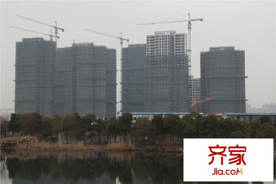 九龍倉碧堤半島光輝歲月外景圖