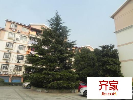 新世紀花園吳中外景圖 
