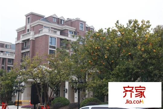 九龍倉碧堤半島光輝歲月外景圖