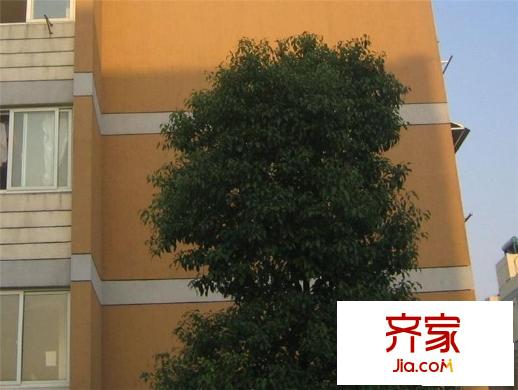 浪花苑外景圖 