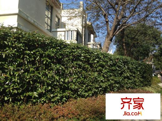 維納恩湖綠化（2015.12.12）