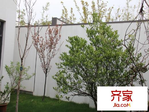 悠然雅居小區(qū)實(shí)景2013.03.01