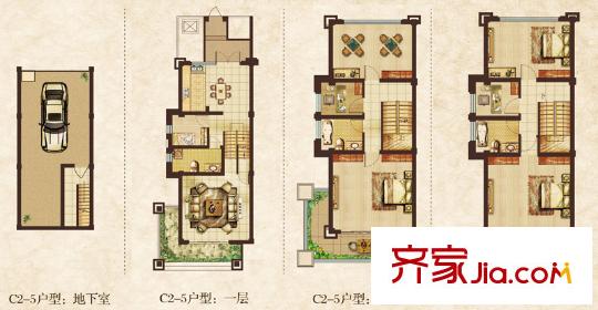 天鵝湖莊園聯(lián)排別墅C2-5戶型 5室2廳3衛(wèi)1廚