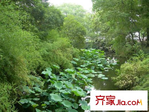 拙政別墅向南100米拙政園