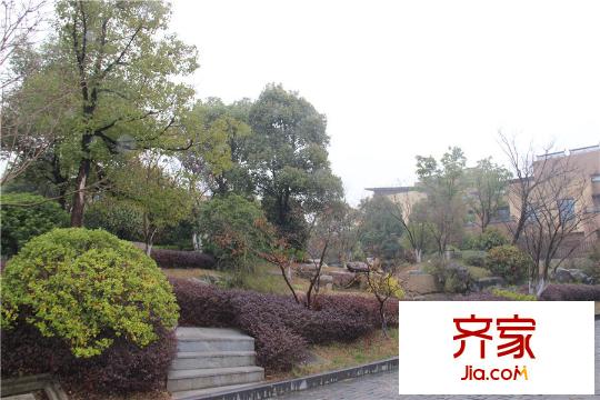 清山慧谷