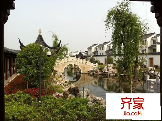 和沁園小區(qū)景觀軸春景圖2013.4.25