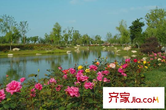 和沁園向南約2公里盛澤湖月季園