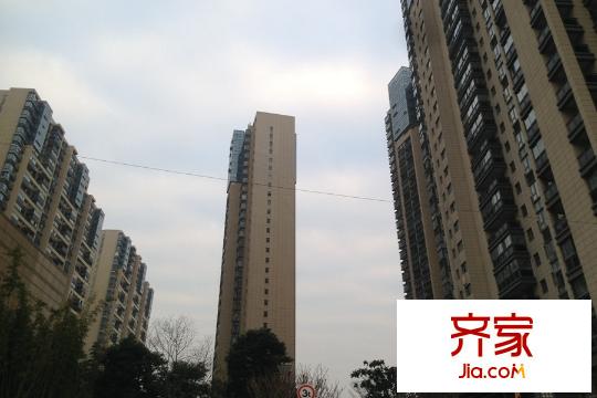 立新天鴻國際花園小區(qū)2015.12.12