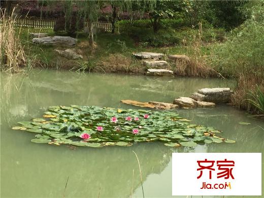 永新秀郡小區(qū)景觀實(shí)景2015.9.24