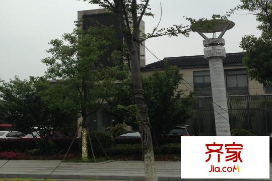 金山別墅2015.5.28