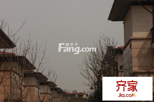 美廬