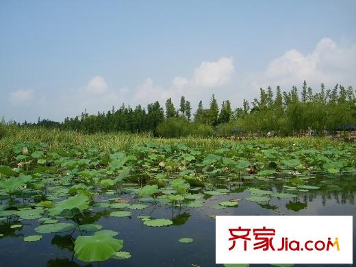 太湖臨湖灣距離1公里太湖公園