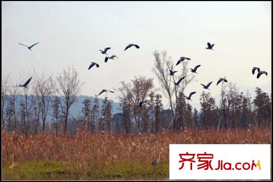 太湖臨湖灣距離1公里太湖公園