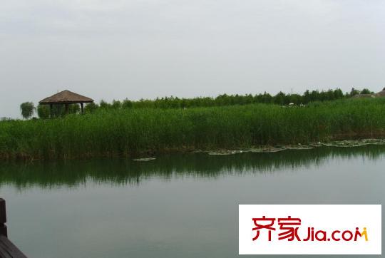 太湖臨湖灣距離1公里太湖公園