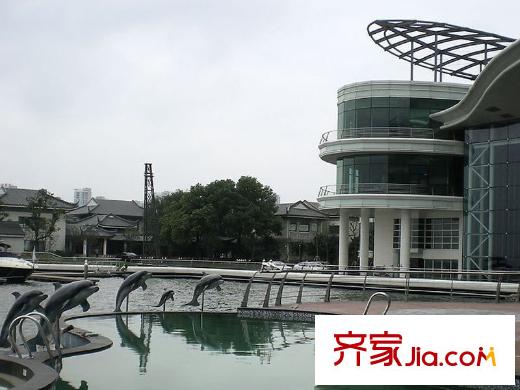 商旅新悅城往東2公里左右金雞湖