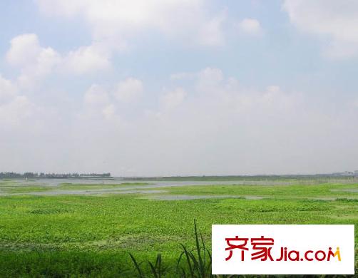 華府壹區(qū)附近汾湖公園