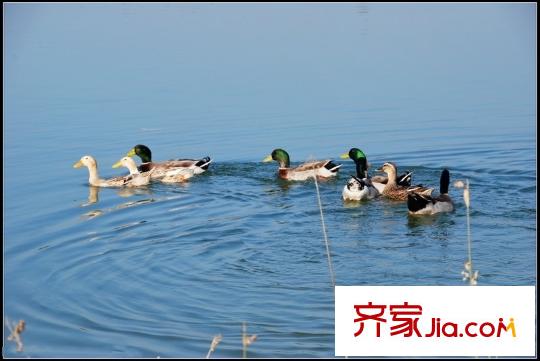 太湖臨湖灣距離1公里太湖公園