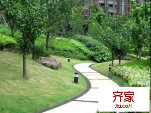 望景華庭小區(qū)綠化2012.08.11
