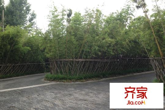 嵐山別墅小區(qū)2015.5.28