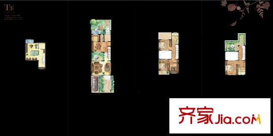 嵐山別墅一期4#四層T3戶型 5室4廳4衛(wèi)1廚