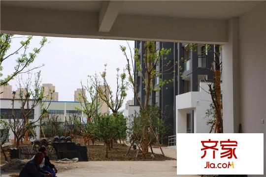 甫雅苑小區(qū)2015.9.18