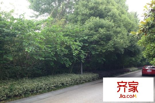 嵐山別墅小區(qū)2015.5.28