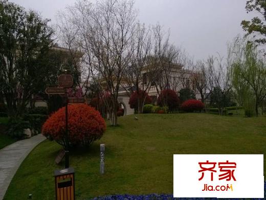 金科王府別墅2013.3.28