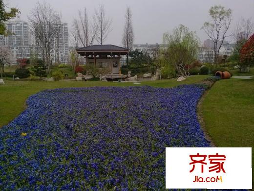金科王府小區(qū)2013.3.28