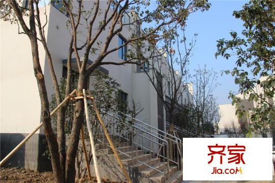 中節(jié)能生態(tài)島別墅聯(lián)排別墅6#實(shí)景2015.3.12