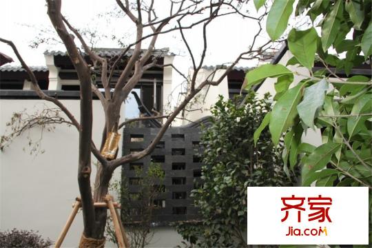 合潤(rùn)御府獨(dú)棟別墅景觀