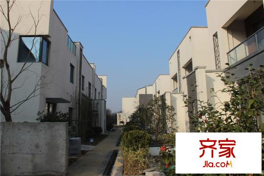 中節(jié)能生態(tài)島別墅聯(lián)排別墅8#、6#實景2015.3.12