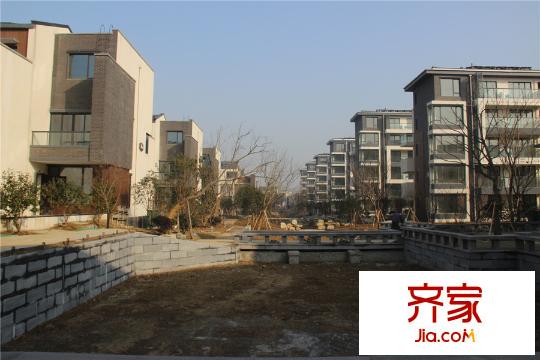 中節(jié)能生態(tài)島別墅中央景觀帶在建實(shí)景2015.3.12