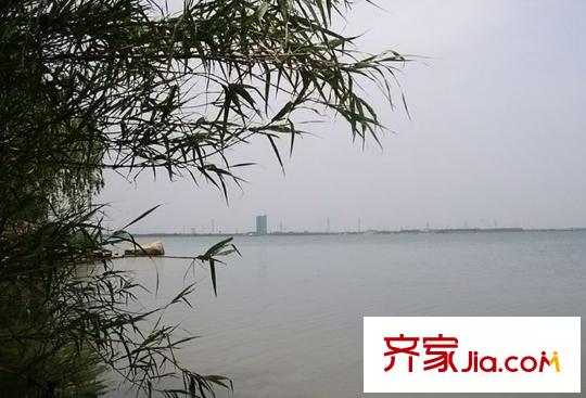 橡逸灣向北500米盛澤湖