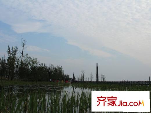 南悅豪庭小區(qū)西邊3公里東太湖