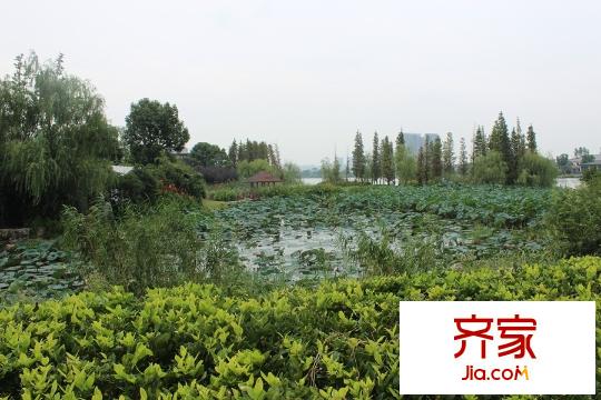 翠湖灣2015.9.25