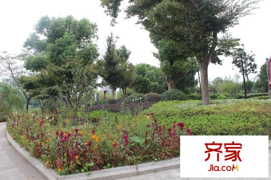 翠湖灣2015.9.25