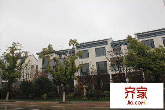 秦馀山莊聯(lián)排別墅實(shí)景2015.3.20