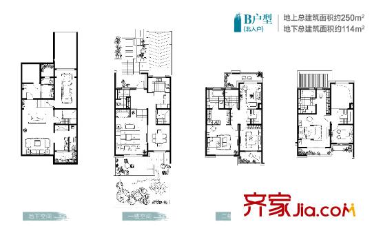 仁恒觀棠聯(lián)排別墅北入戶B戶型 4室2廳4衛(wèi)1廚