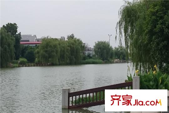 翠湖灣項(xiàng)目正前方100米處小石湖風(fēng)景