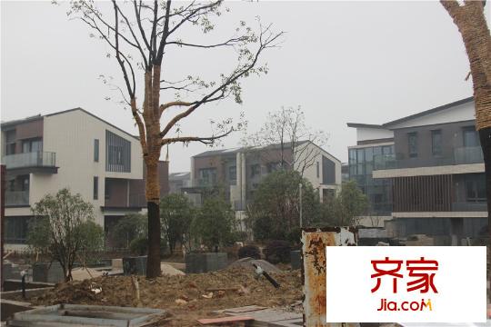 永新?太湖蘇里