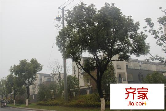 永新?太湖蘇里別墅實景2015.3.20