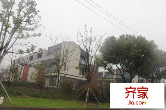 永新?太湖蘇里別墅實景2015.3.20