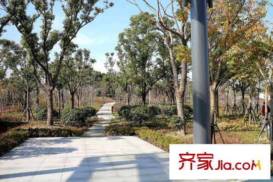 瑞景國(guó)際項(xiàng)目南500米蘆蕩湖濕地公園